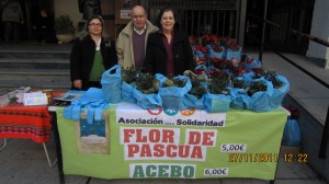Venta de flores de Pascua y acebos en Vigo en 2011